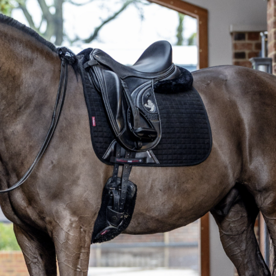 Premium LeMieux Suede Dressage Square Saddle Pad for Horses - Comfortable & Breathable Riding Pad for Training & Competition - Perfect for English Equestrian Riders