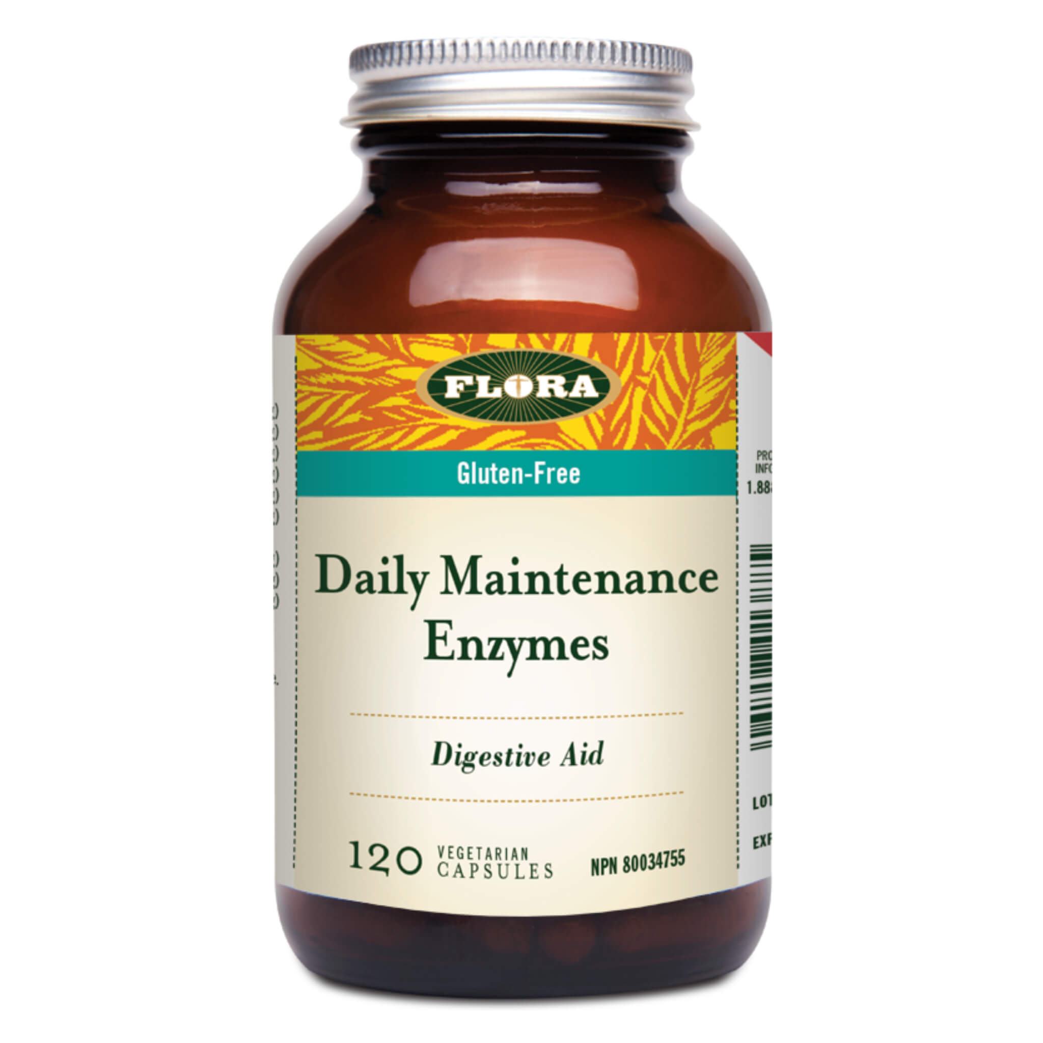 Best Daily Maintenance Enzyme Supplement for Digestive Health & Gut Support – Ideal for Daily Wellness & Immune Boost