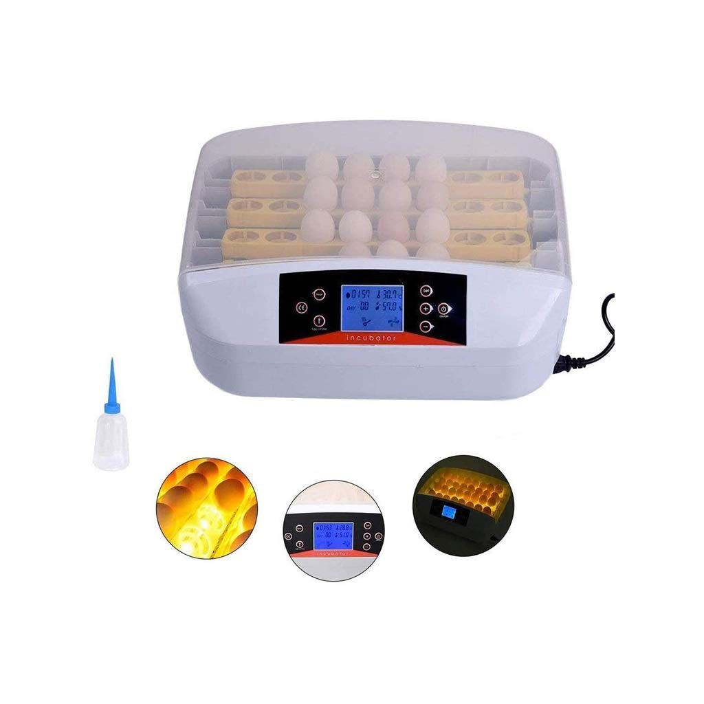 56 Egg Digital Mini Fully Automatic Poultry Egg Incubator - Hatcher for Chicken, Duck, Goose & Bird Eggs with Auto Turning | Perfect for Home Farming, Backyard Poultry & Small Scale Hatching
