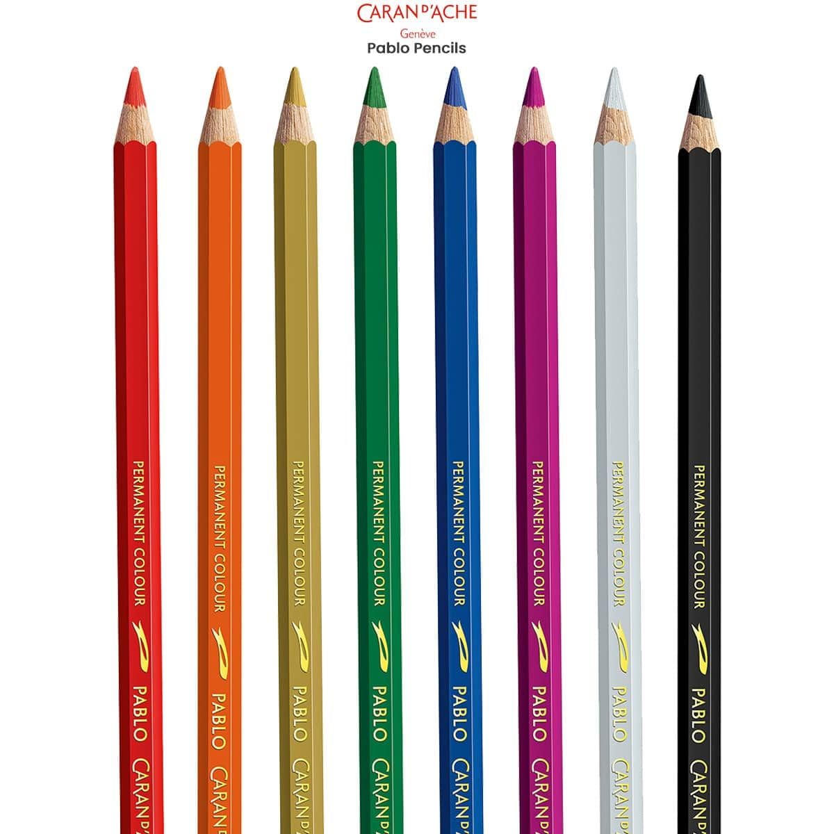 Premium Caran D'Ache Pablo Artist Colored Pencils - Set of 30 Vibrant Colors (666.330) | Professional Drawing, Sketching & Coloring for Artists, Students & Hobbyists
