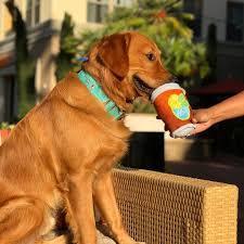 BarkShop Lickton Iced Tea Spiky Core Dog Plush Toy - $18 | Durable Chew Toy for Aggressive Chewers | Perfect for Teething Puppies & Playtime