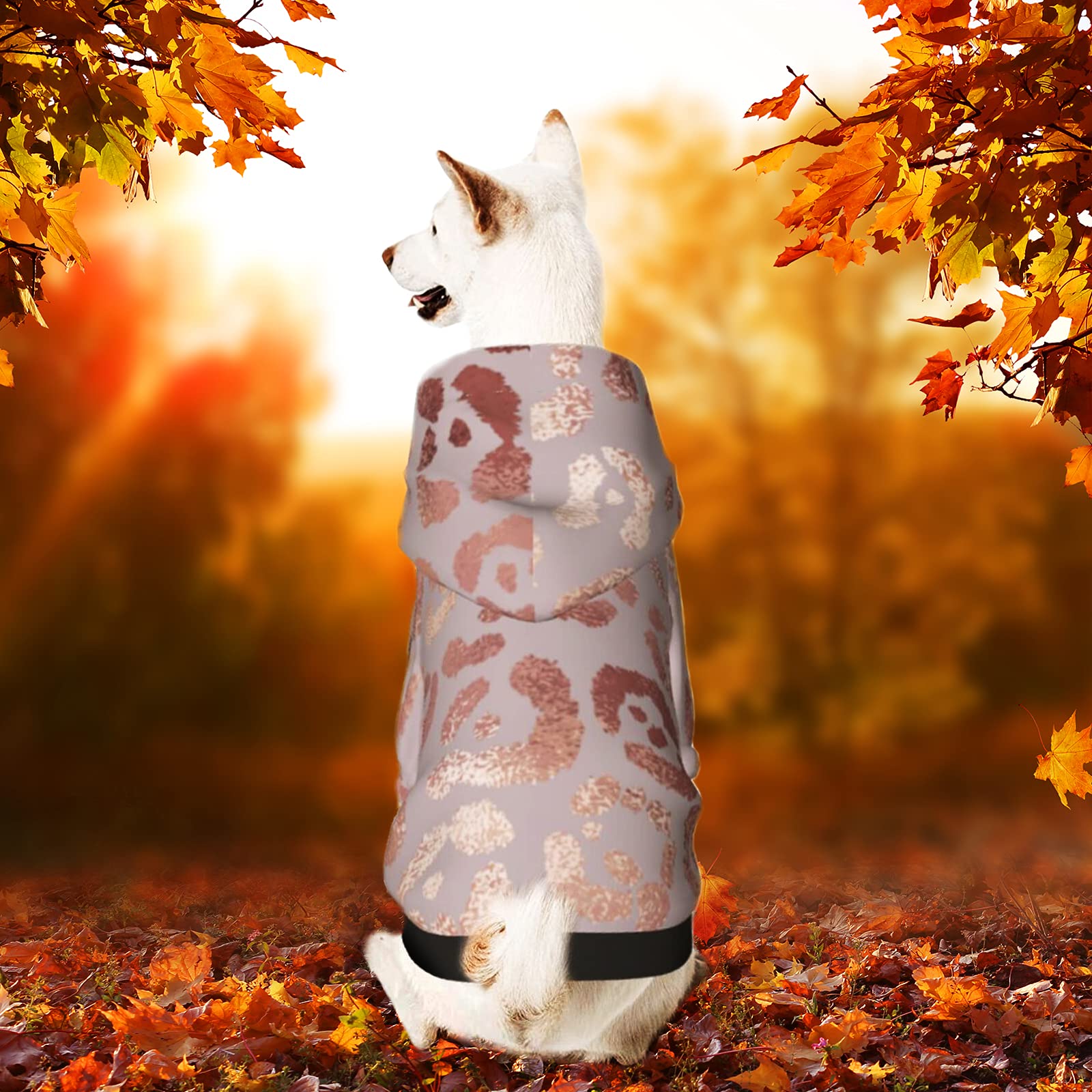 Dog Halloween Costumes & Winter Hoodies with Hat - Warm Pet Clothes for Small & Medium Dogs | Cozy Autumn & Winter Outfits for Halloween Parties & Cold Weather