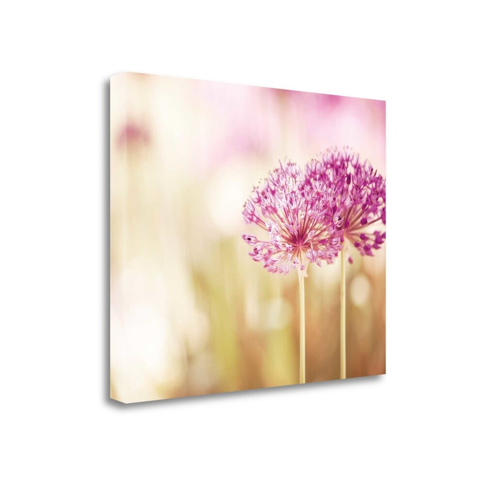 Bloom By Carolyn Cochrane - Fine Art Giclee Print on Gallery Wrap Canvas, Ready to Hang Wall Decor - Perfect for Living Room, Bedroom & Office Artwork