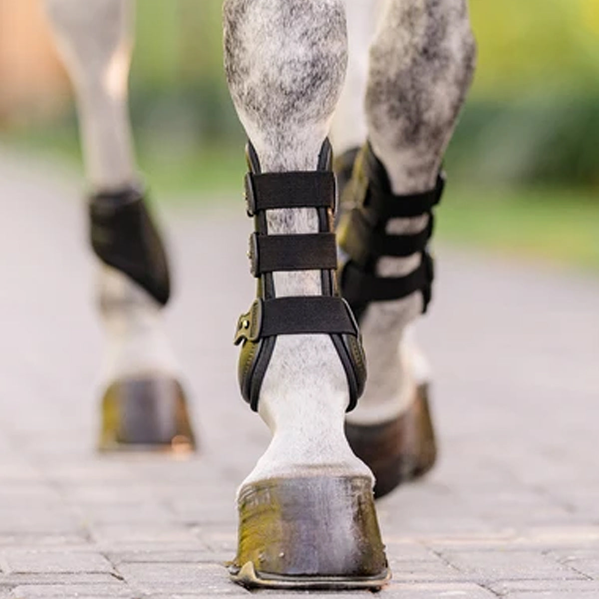 EquiFit Eq Teq Front Boot - Horse Riding Boots for Equestrian Sports, Training & Show Jumping - Durable & Comfortable for Stable & Outdoor Use