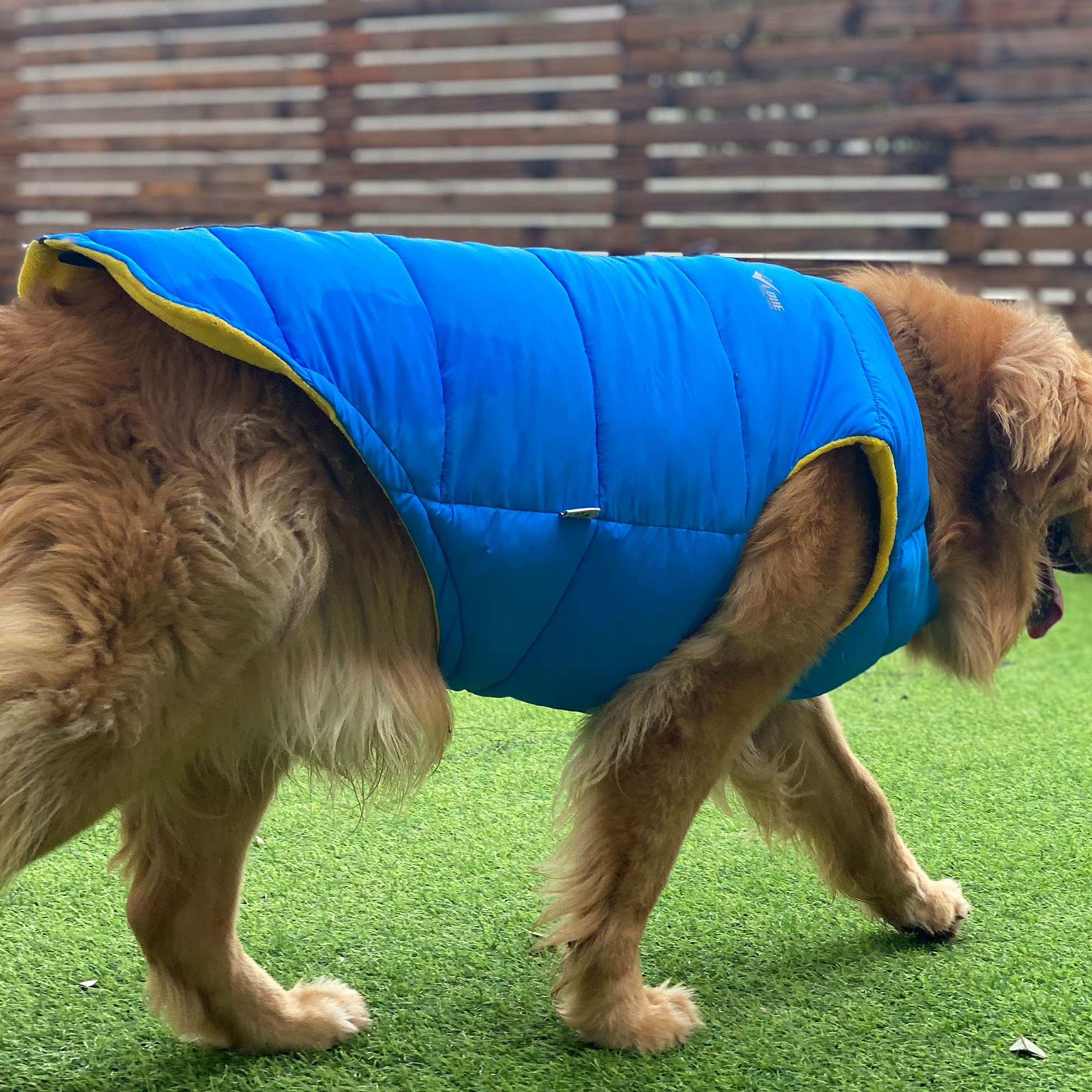 Waterproof Windproof Dog Winter Jacket - Super Warm Polar Fleece Vest with Smooth Zipper for Small Medium Large Dogs (Blue, XXXL) - Perfect for Cold Weather Walks & Outdoor Adventures