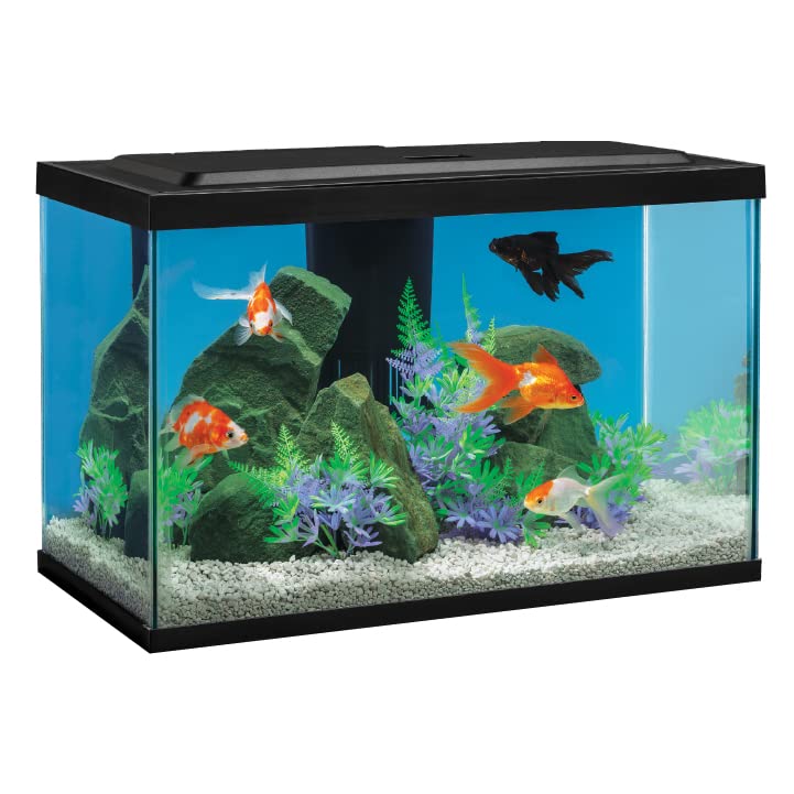 Tetra Goldfish LED Aquarium Kit - 20 Gallon Fish Tank with LED Lighting & Filter - Perfect for Home, Office, or Classroom Aquarium Setup