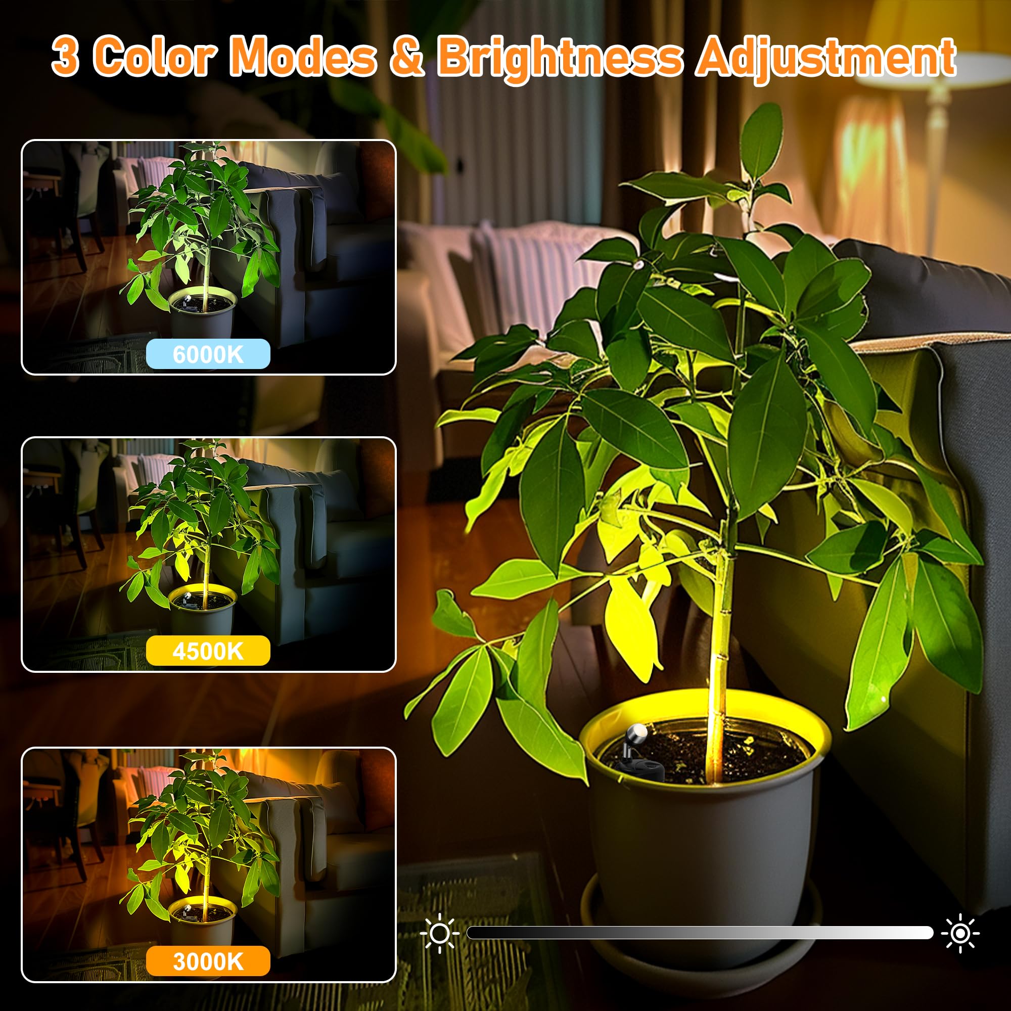 4 Pack Wireless LED Spotlights Indoor - Battery Operated Picture Lights with Remote Control for Artwork, Plants, Dartboard & Home Decor - Perfect for Accent Lighting, Display Cases and Gallery Walls