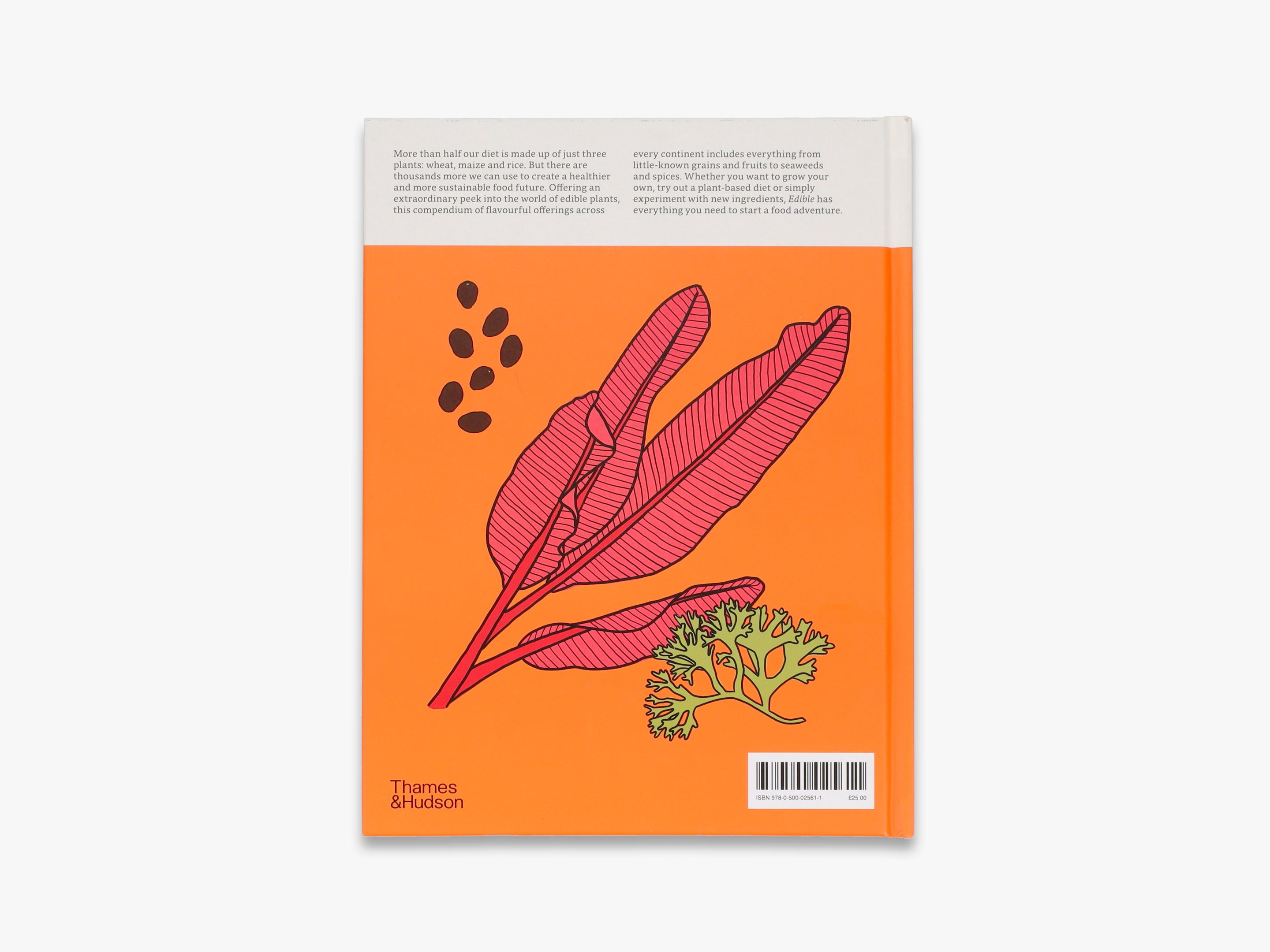 Organic Edible Flowers for Cooking, Baking & Garnishing - Fresh, Non-GMO, Vegan - Perfect for Cakes, Salads & Cocktails