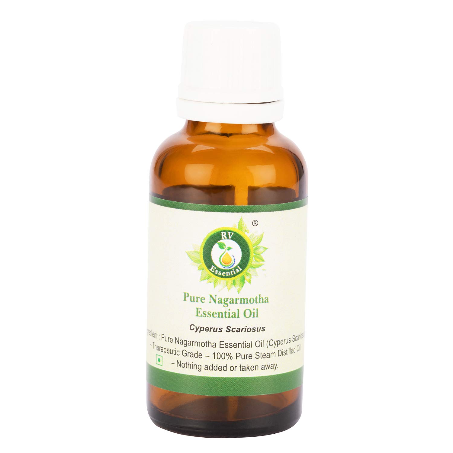Pure Nagarmotha Essential Oil (Cyperus Scariosus) - 100% Natural, Steam Distilled, Therapeutic Grade - 3.38oz (100ml) by R V Essential - Aromatherapy, Skin Care & Relaxation Oil for Diffusers, Massage & DIY Beauty Products