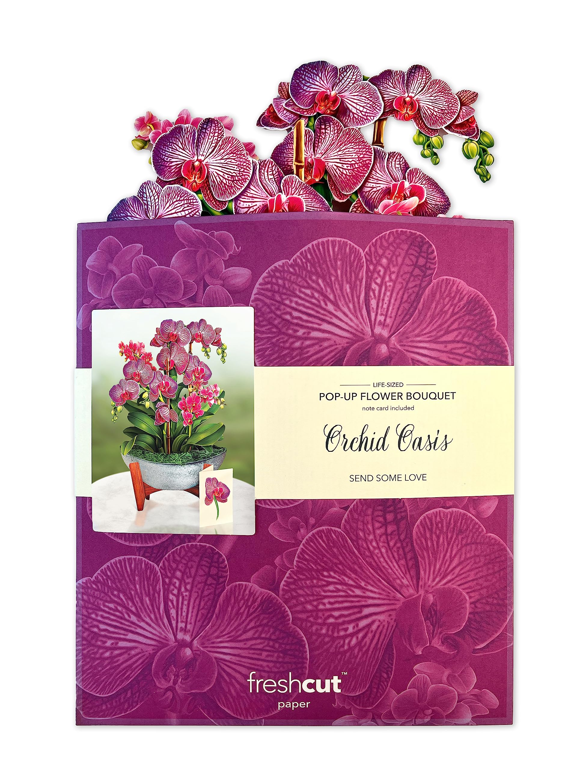 3D Pop Up Greeting Cards - 12 Inch Life-Sized Handmade Paper Cards for Birthdays, Anniversaries & Special Occasions - Perfect for Gifts, Home Decor & Scrapbooking