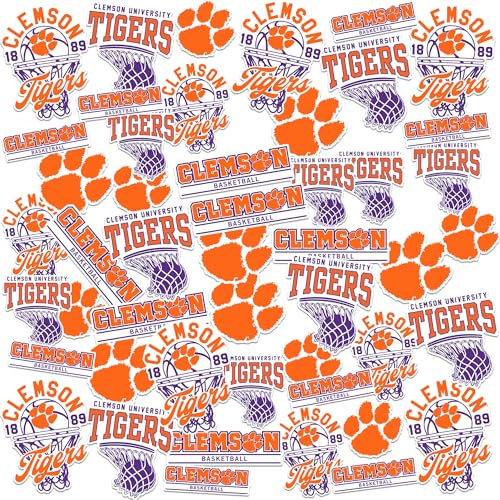 Clemson University