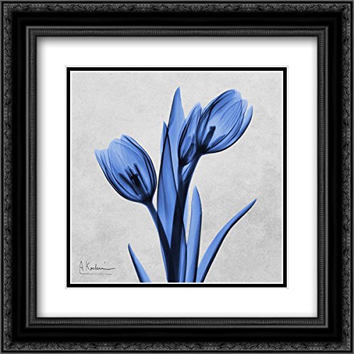 Albert Koetsier Midnight Tulips 15x15 Black Ornate Framed Museum Art Print with Double Matting - Perfect for Living Room, Bedroom & Office Wall Decor