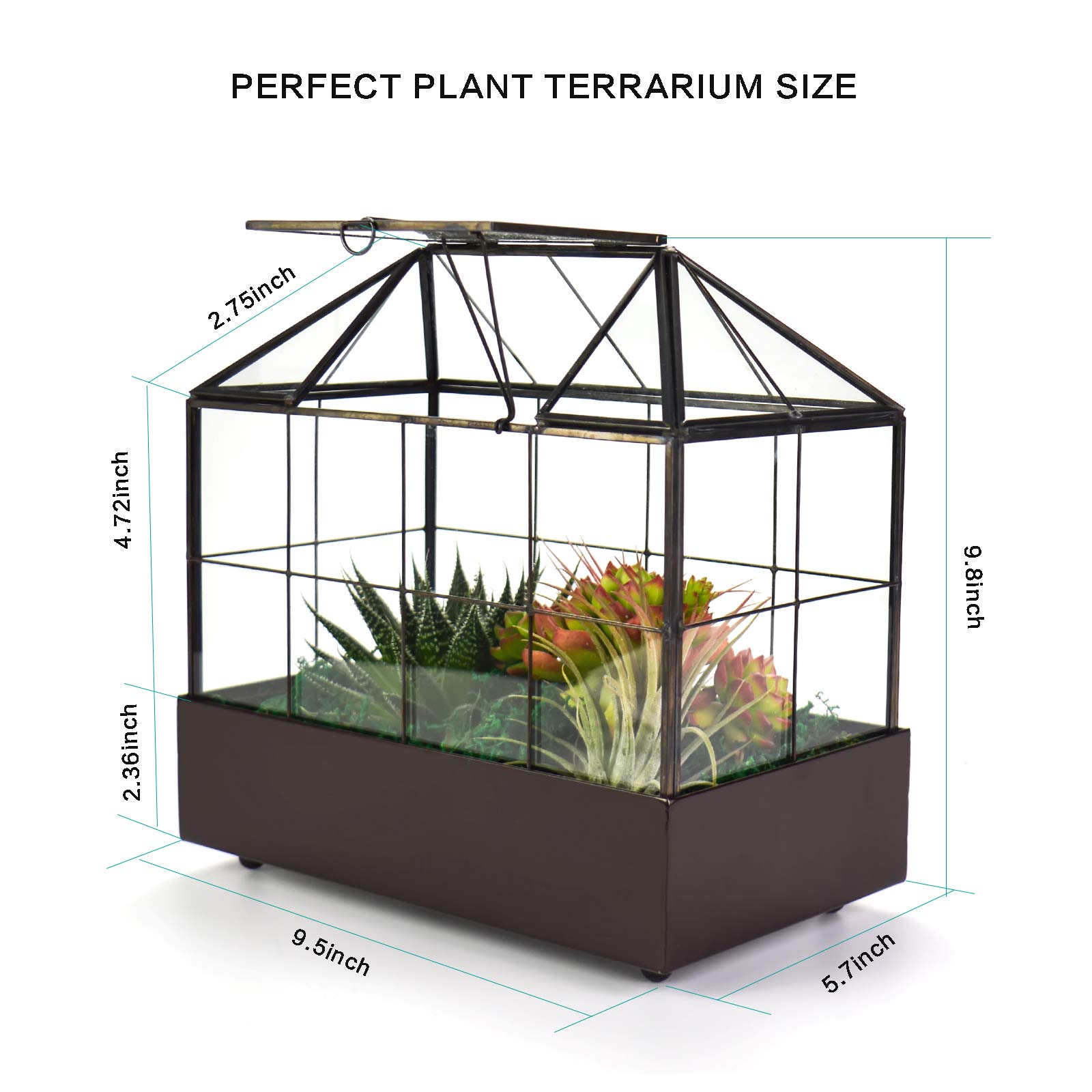 Large Glass Terrarium for Plants - 9.5