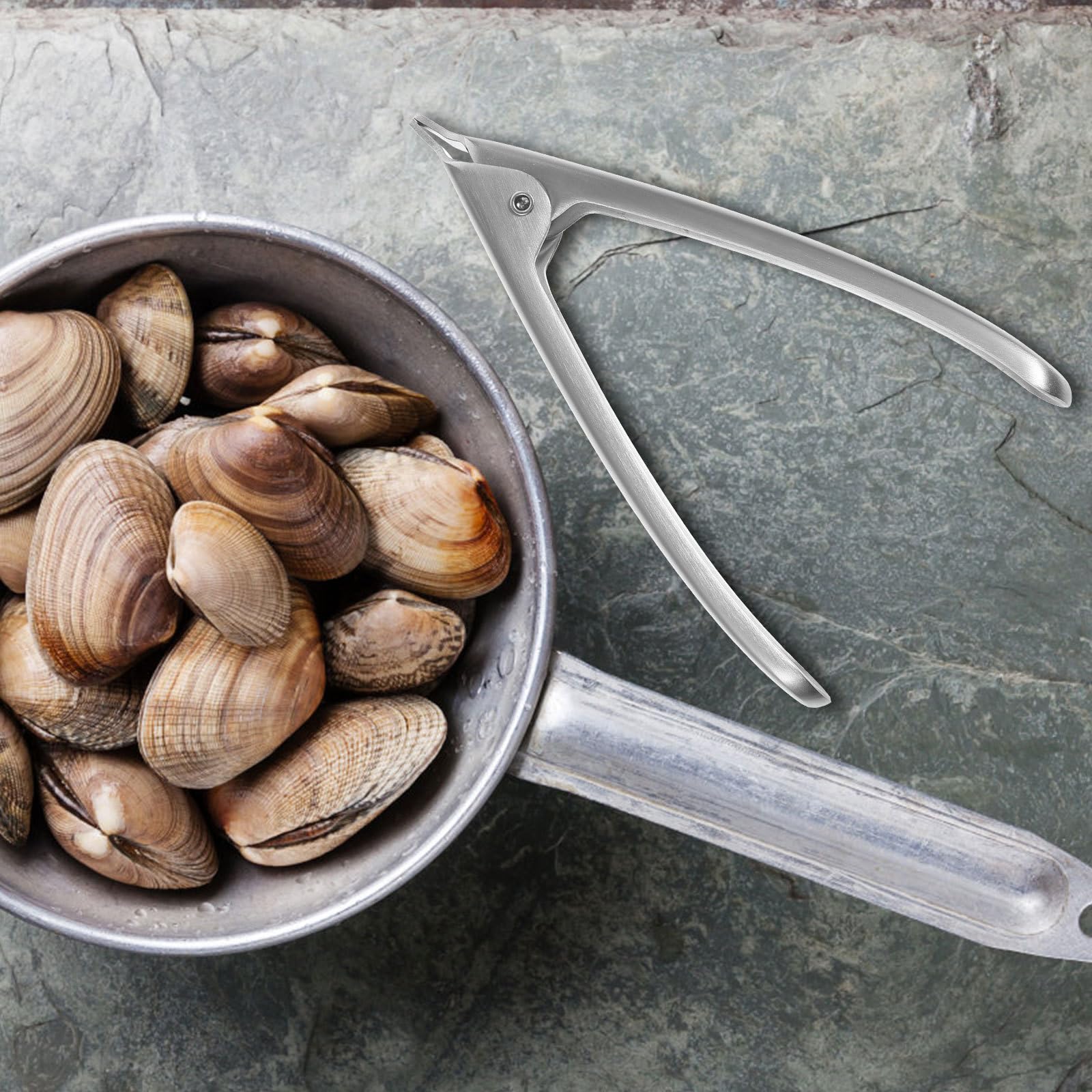 Hemoton Stainless Steel Clam Opener - Rustproof Kitchen Seafood Tool for Oyster Shucking & Shellfish Opening - Durable Kitchen Gadget for Easy Seafood Prep at Home or Restaurants