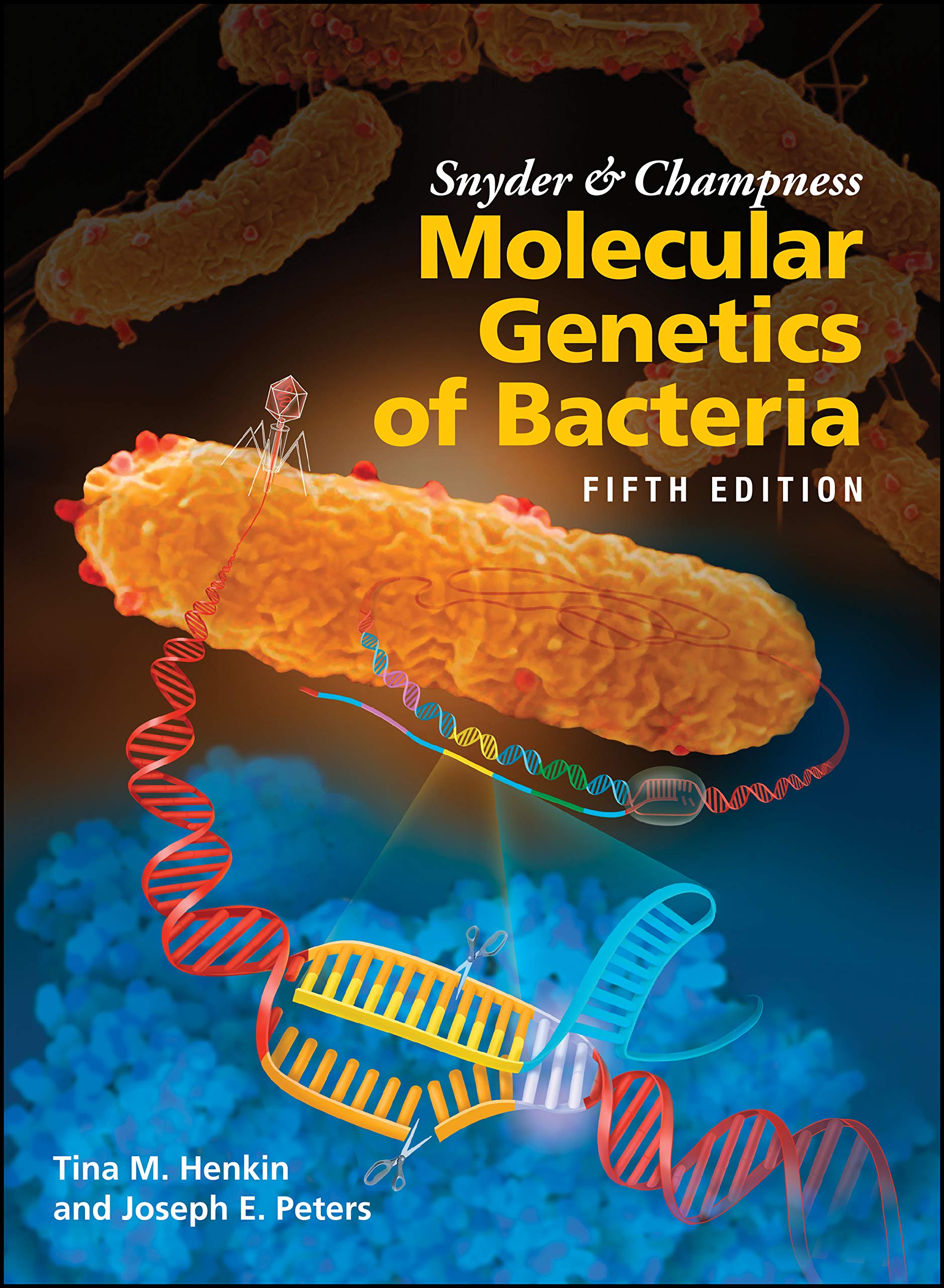 Snyder and Champness Molecular Genetics of Bacteria (ASM Books) - Essential Textbook for Microbiology Students & Researchers | Study Bacterial DNA, Gene Regulation & Microbial Evolution | Perfect for University Courses & Lab Research