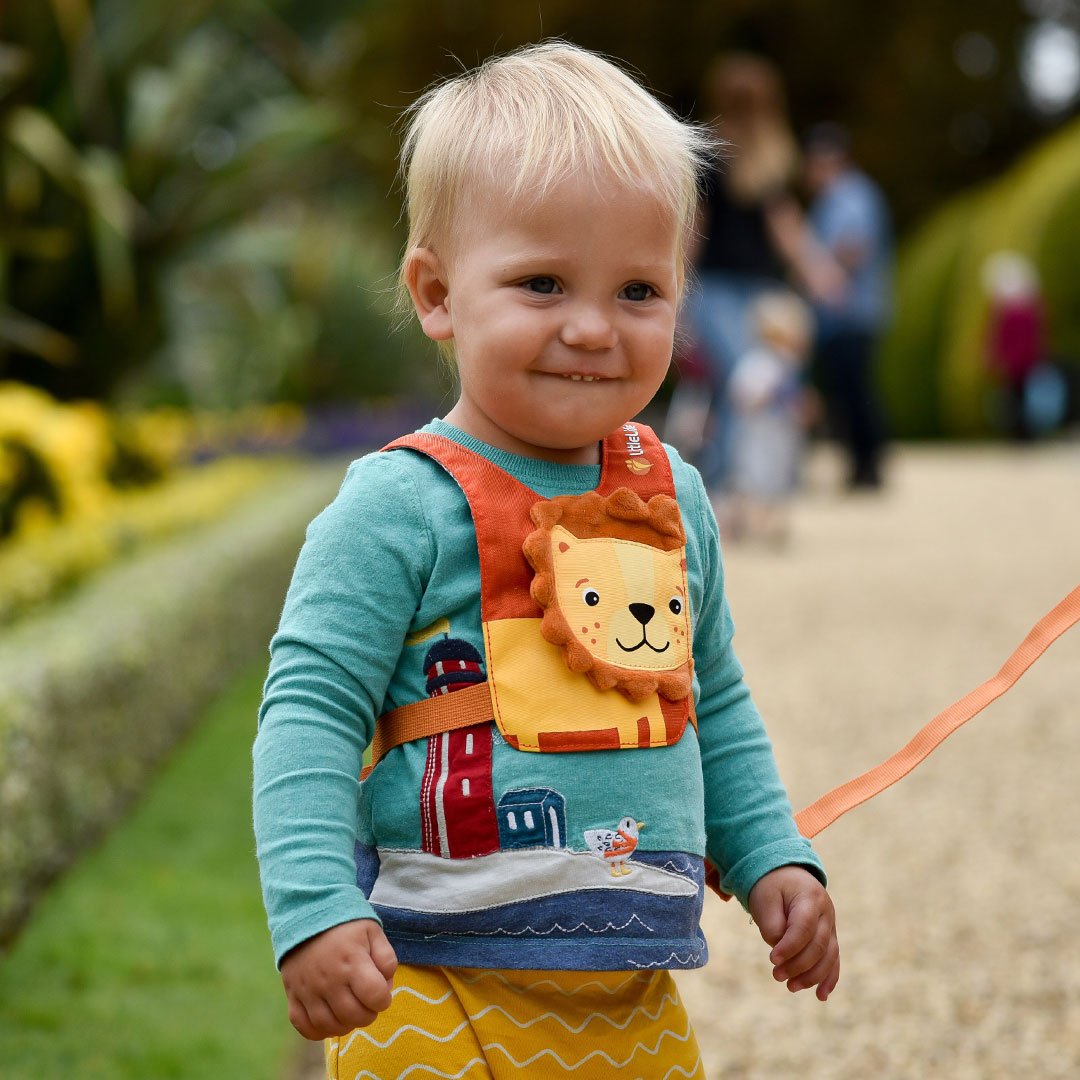 Littlelife Lion Toddler Safety Reins - Adjustable Walking Harness for Kids | Baby Leash for Safe Outings | Perfect for Shopping, Travel & Park Adventures