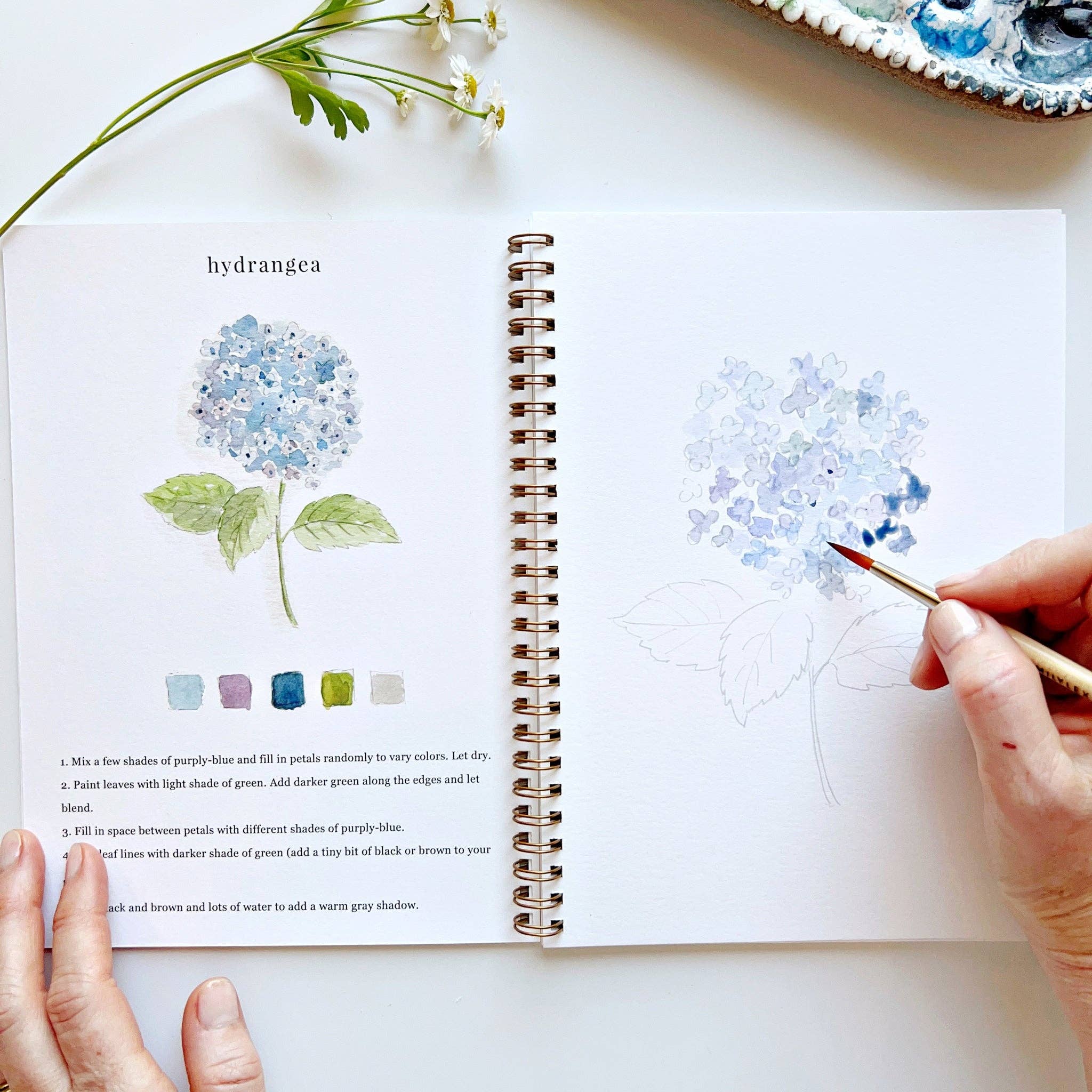 Flowers Watercolor Workbook - Step-by-Step Guide for Beginners & Artists | Perfect for Art Classes, DIY Projects & Relaxation