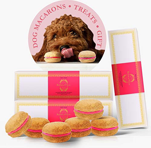 Luxury Handmade Dog Macarons - All-Natural Healthy Gourmet Dog Treats for Birthdays & Special Occasions | Bonne et Filou (Rose x 3) - Perfect for Dog Parties, Training Rewards & Pampering Your Pet
