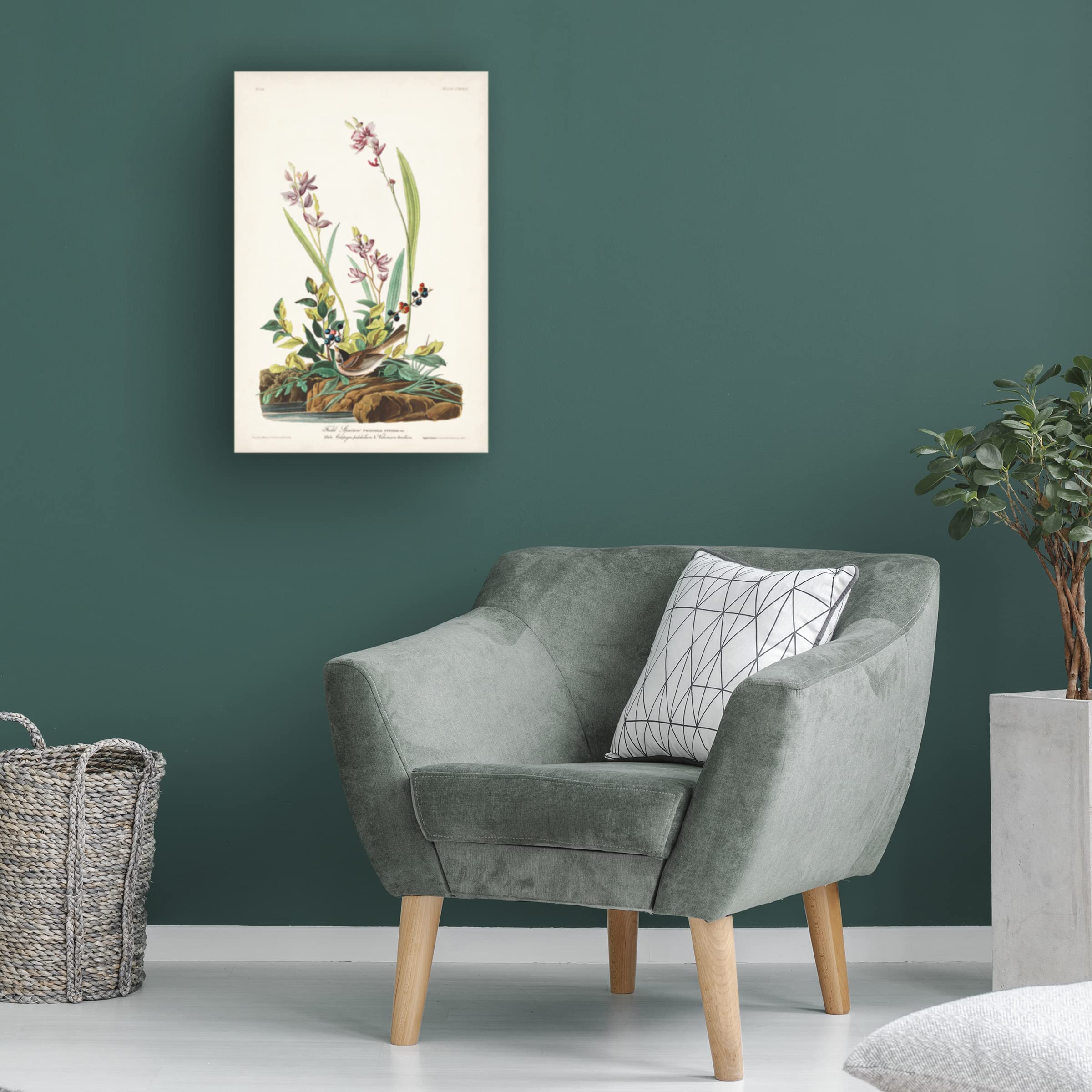 John James Audubon 'Field Sparrow' Canvas Art Print - 22x32 Inches - Premium Wildlife Wall Decor for Living Room, Bedroom & Office