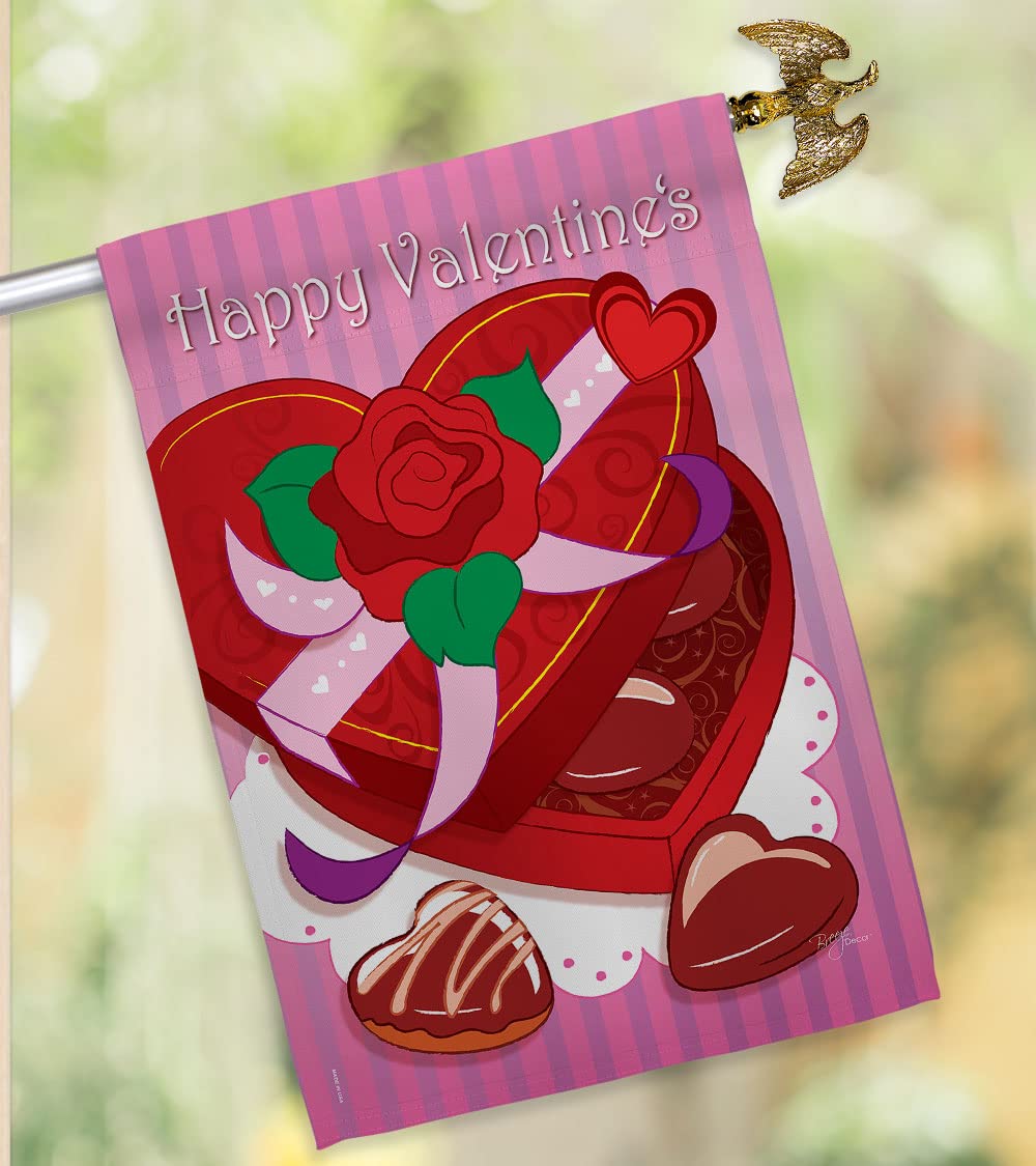 Breeze Decor Spring Valentines House Flag Set - 28