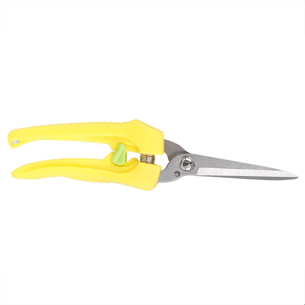 Premium 8-Inch Pruning Shears - Professional Garden Scissors for Plants, Flowers, Bonsai & Fruit Trees - Sharp Stainless Steel Trimming Shears for Gardening, Landscaping & Home Use