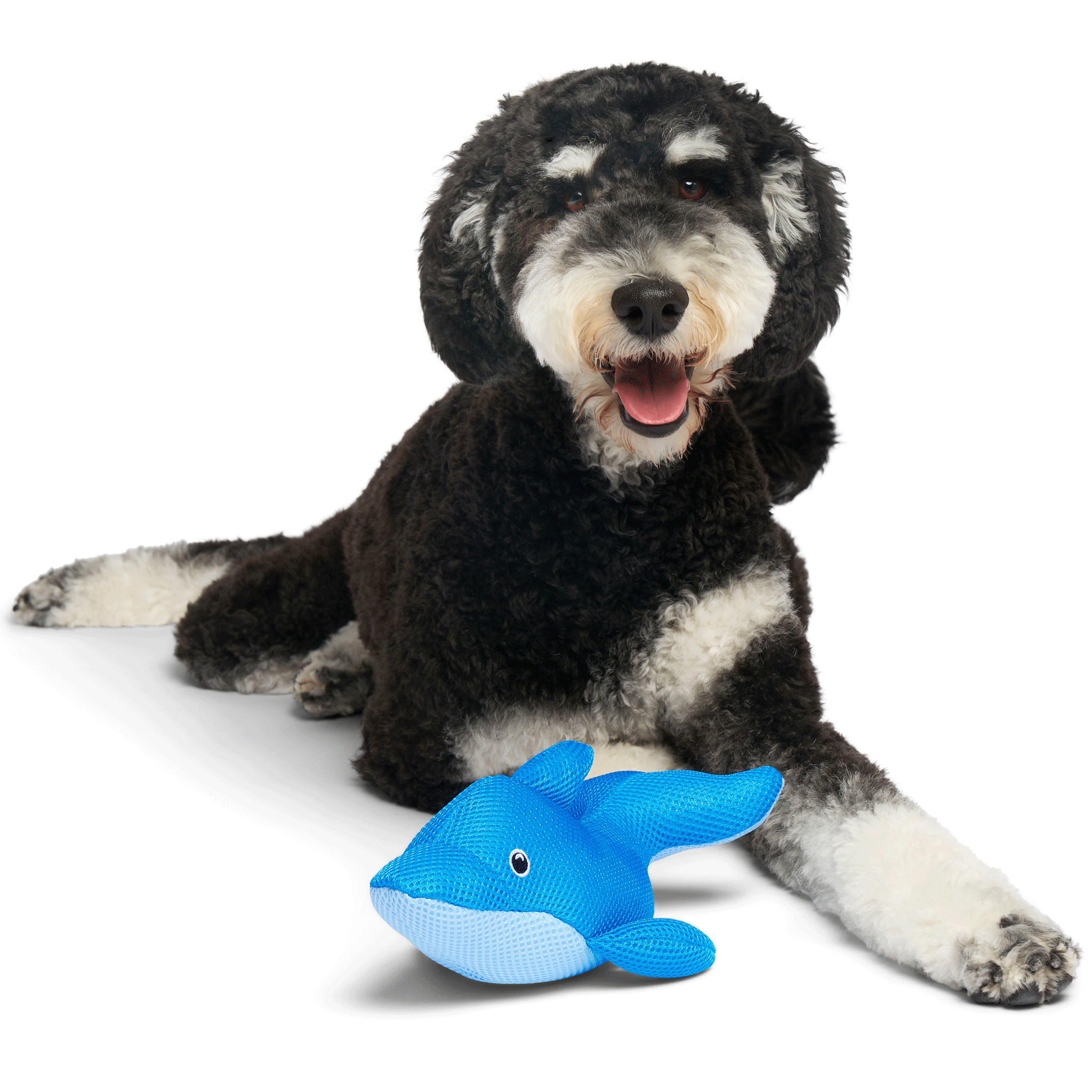Canada Pooch Chill Seeker Floating Dolphin Dog Toy - Durable Chew Toy for Water Play, Pool & Beach Fun for Dogs