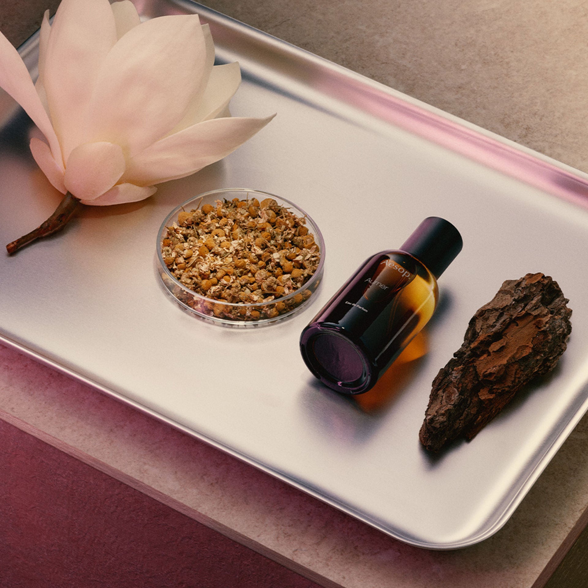 Aurner Eau de Parfum for Women - Long Lasting Floral Fragrance Perfume | Perfect for Date Night, Office & Special Occasions