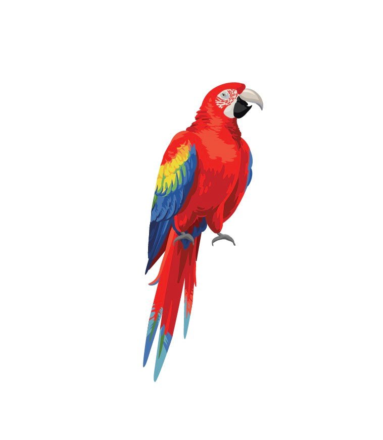 Colorful Parrot & Macaw Toys for Kids - Perfect for Bird Lovers, Classroom Rewards & Pet Training Gifts