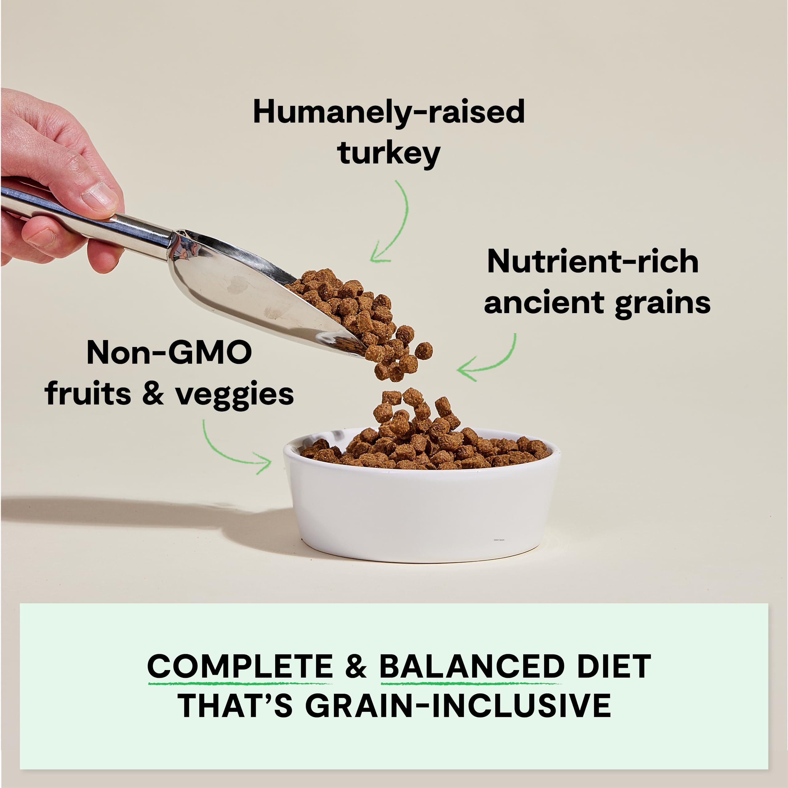 Open Farm Ancient Grains Dry Dog Food - High Protein & Nutrient Dense with 90% Animal Protein, Non-GMO Fruits, Vegetables & Superfoods | Homestead Turkey Recipe | 22lb Bag for Large & Medium Dogs | Perfect for Active Pets & Daily Nutrition