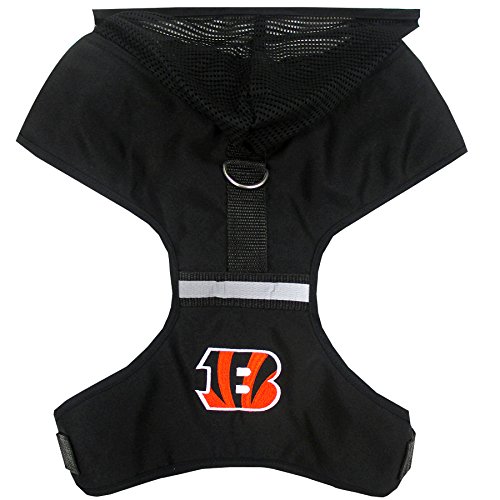 Cincinnati Bengals