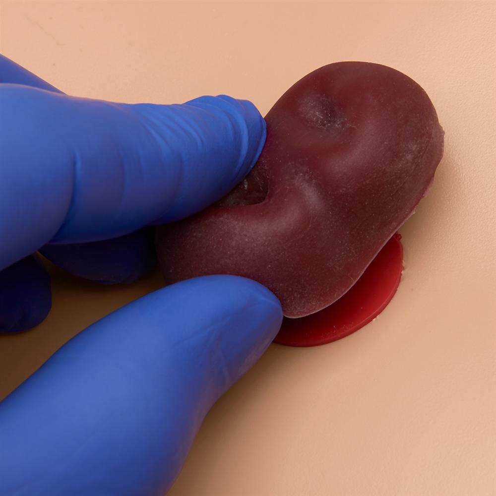CPR Susie® Advanced Patient Care Simulator - Medium Size for Medical Training & Emergency Response Practice | Perfect for Nursing Schools, EMT Training & Healthcare Professionals