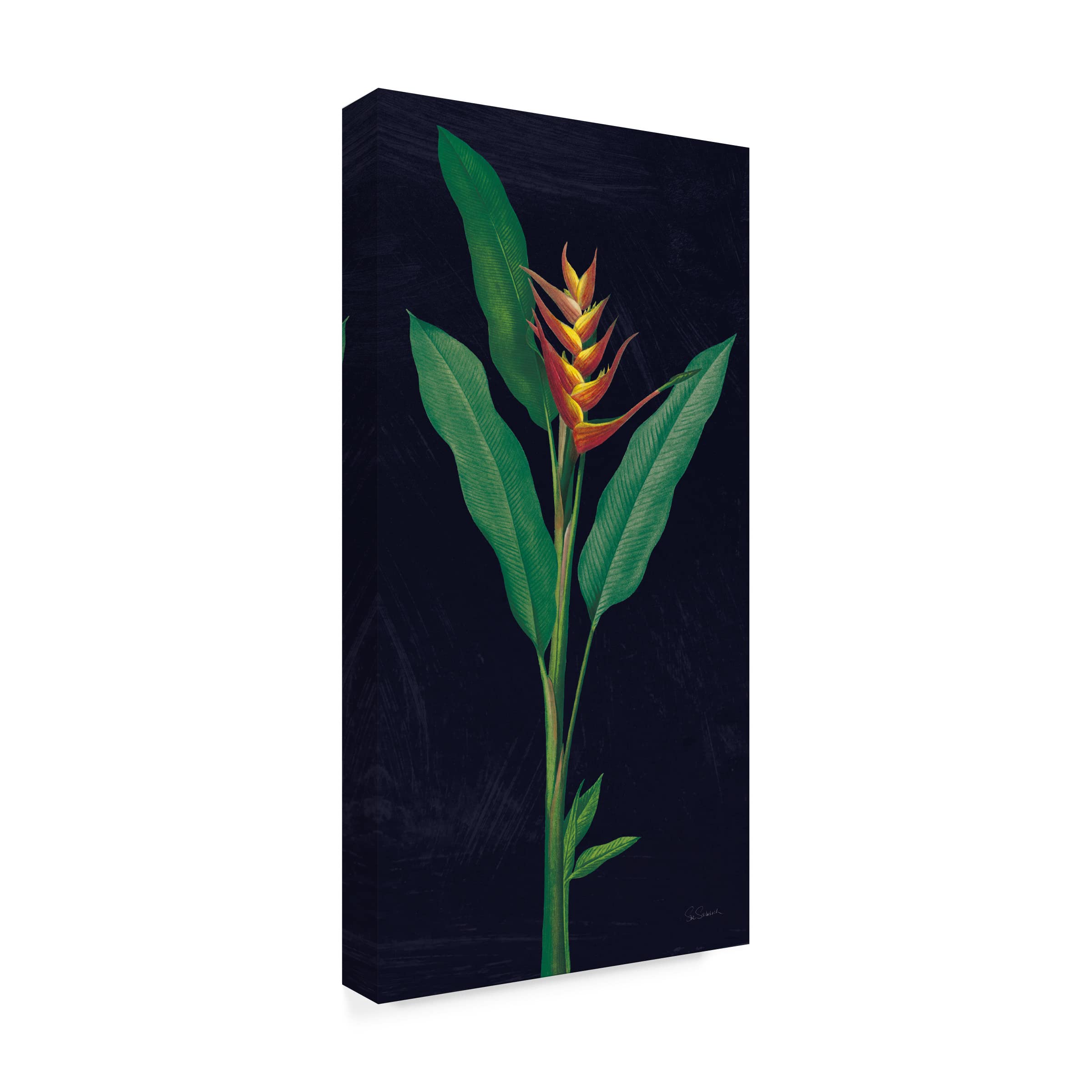 Dramatic Tropical IV Canvas Wall Art by Sue Schlabach - Vibrant Beach & Palm Tree Painting for Living Room, Bedroom & Office Decor