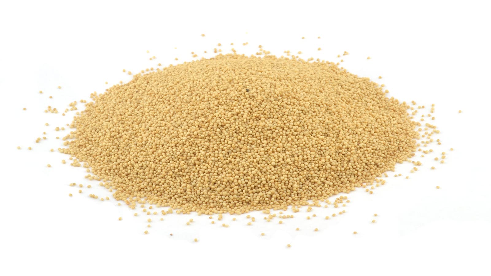 Organic Whole Grain 100% Natural Amaranth Seeds - Non-GMO, Raw, Gluten-Free (6 LB Bulk) - Perfect for Baking, Smoothies & Healthy Breakfast Recipes