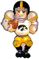 Iowa Hawkeyes 20