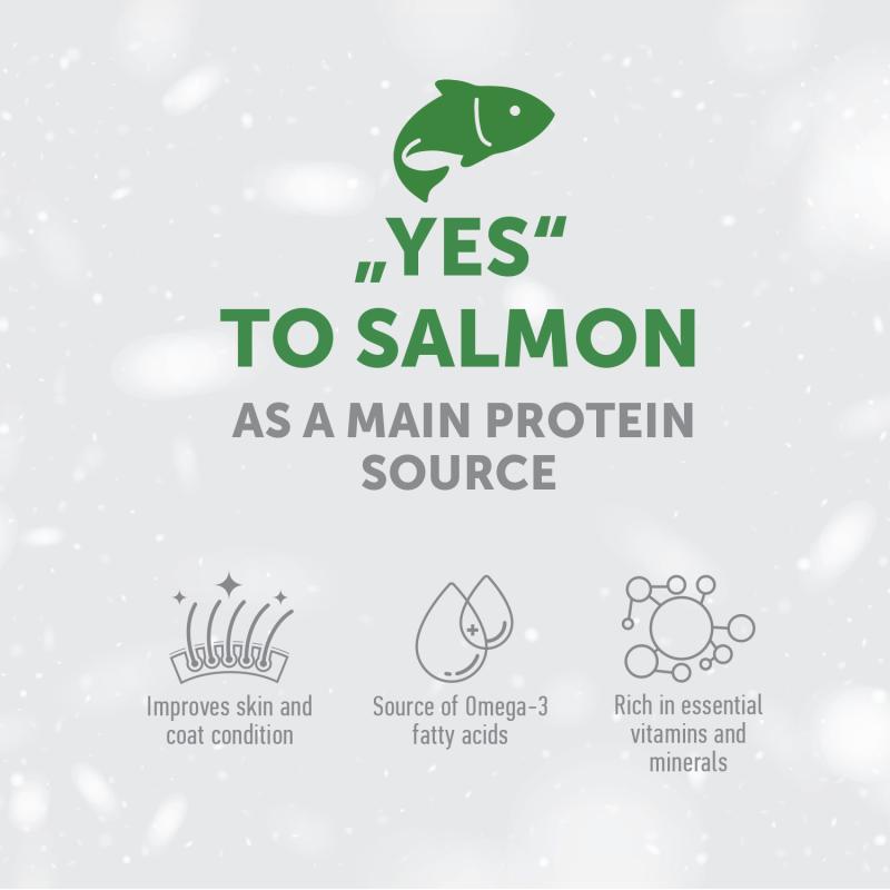 Premium Salmon Dog Treats for Puppies - Supports Digestion & Boosts Immunity - Perfect for Training & Healthy Rewards
