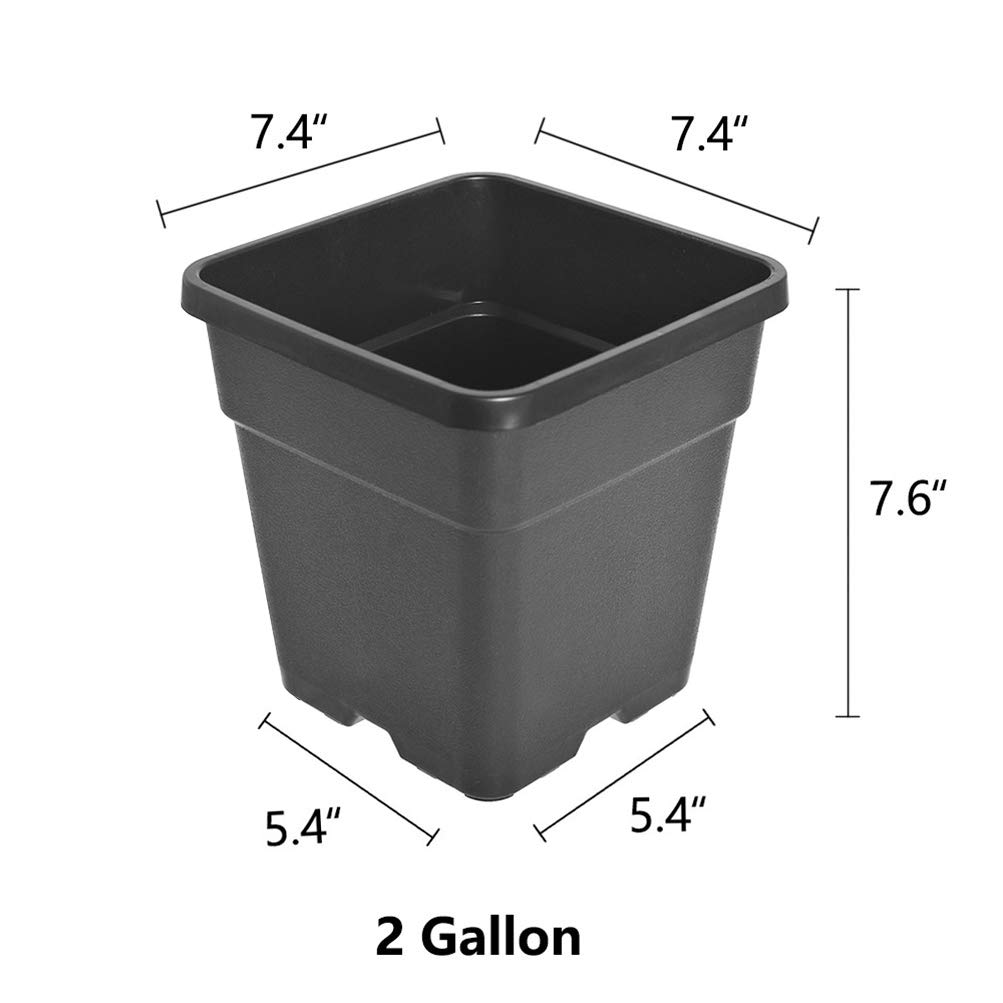 10-Pack 2 Gallon Plastic Plant Pots with Drainage Holes - Durable Injection Molded Flower Planters for Indoor/Outdoor Plants, Vegetables, Seedlings & Gardening - Perfect for Home, Garden, Nursery & Urban Farming
