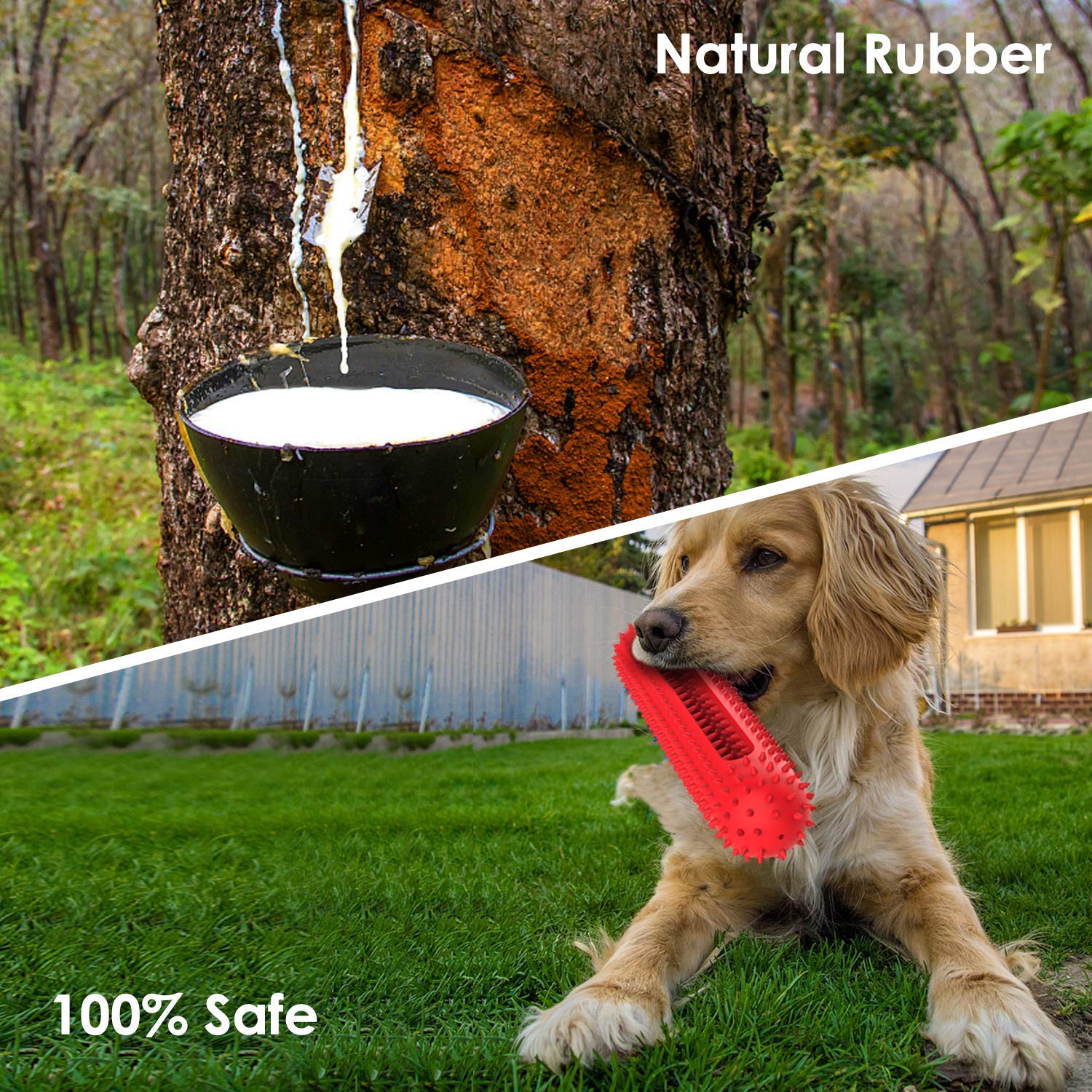 Durable Dog Chew Toys for Aggressive Chewers - Indestructible Rubber Squeaky Toys for Medium & Large Dogs | Toothbrush Design for Teeth Cleaning, Pet Training & Playtime | Perfect for Outdoor Fetch, Indoor Play & Dental Health