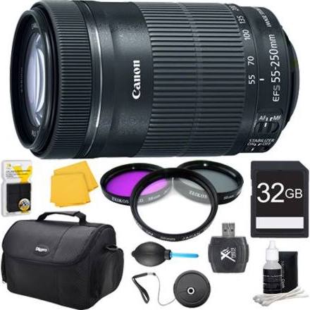 Canon EF-S 55-250mm f/4.5-5.6 IS STM Telephoto Zoom Lens (8546B002) with Pro Lens Kit - Perfect for Portrait, Wildlife & Sports Photography