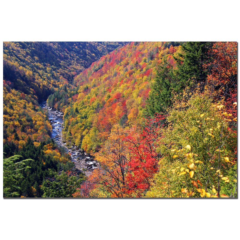 Autumn's Fire by CATeyes - 16x24 Inch Canvas Wall Art for Living Room, Bedroom & Office Decor