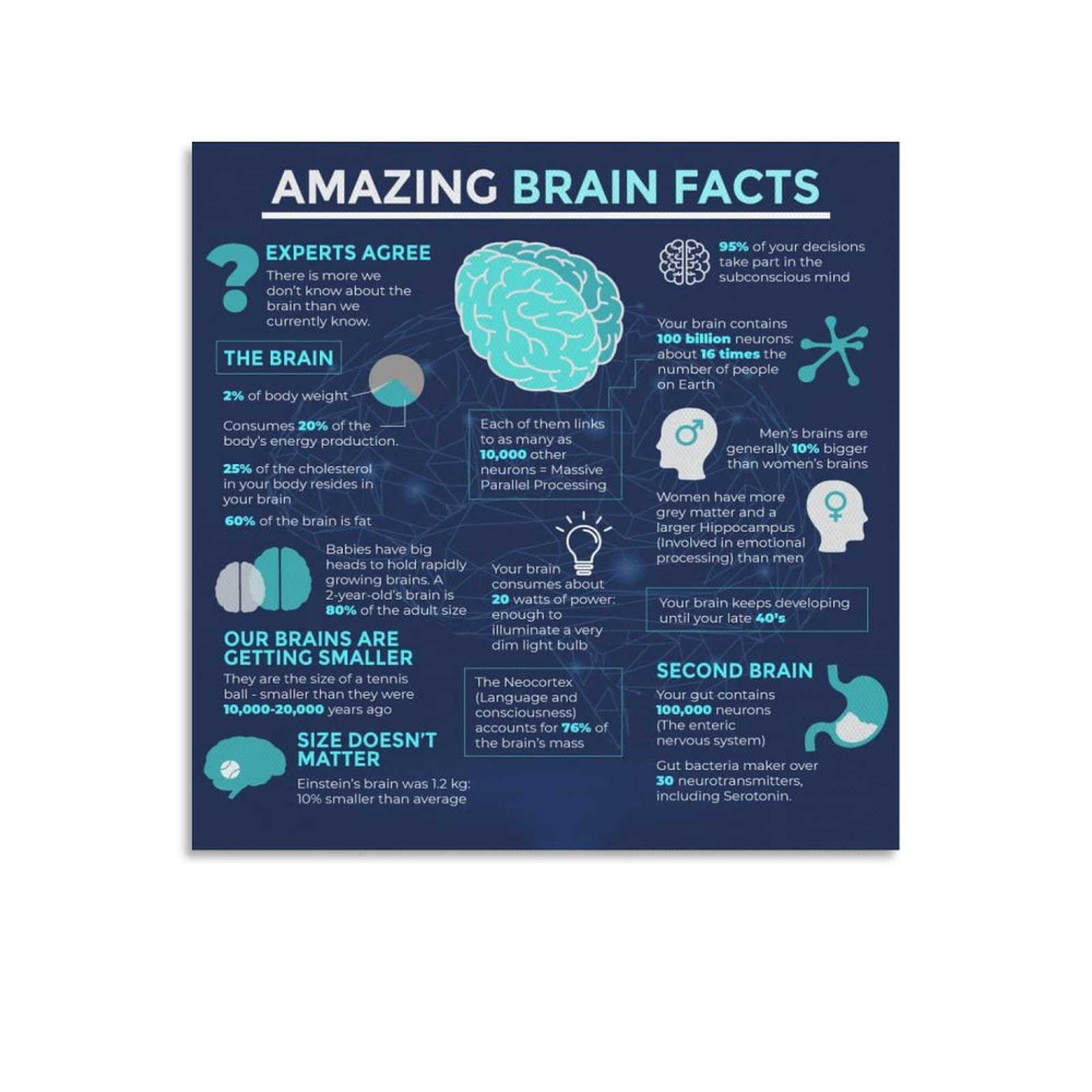 Brain Autophagy Healing Posters - 24x24 Inch (60x60cm) Wall Art Prints for Home & Office Decor - Motivational Wall Decor for Bedroom, Living Room & Meditation Spaces