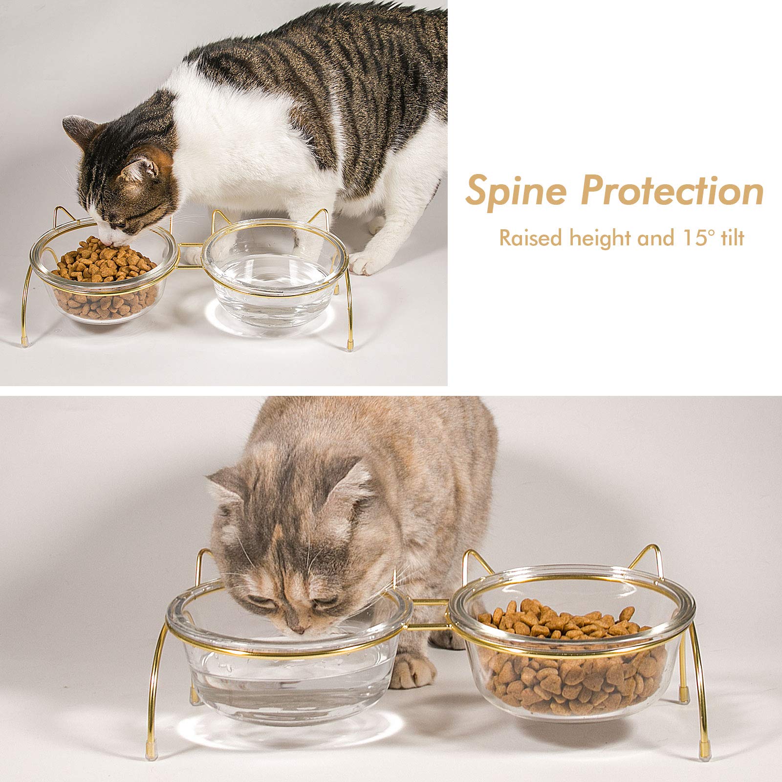 Elevated Cat Food and Water Bowls Set - 17oz Raised Pet Bowls with Stand for Cats & Dogs - Durable Glass Bowls Dishwasher Safe - Perfect for Home, Kitchen or Travel Use