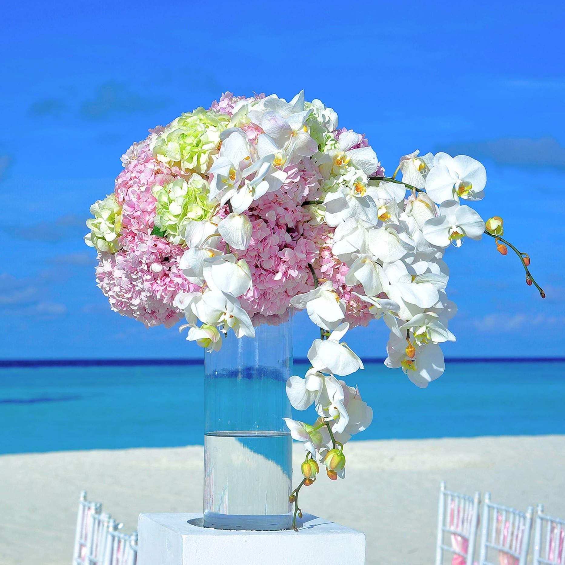 WGV Clear Cylinder Glass Vase - 7