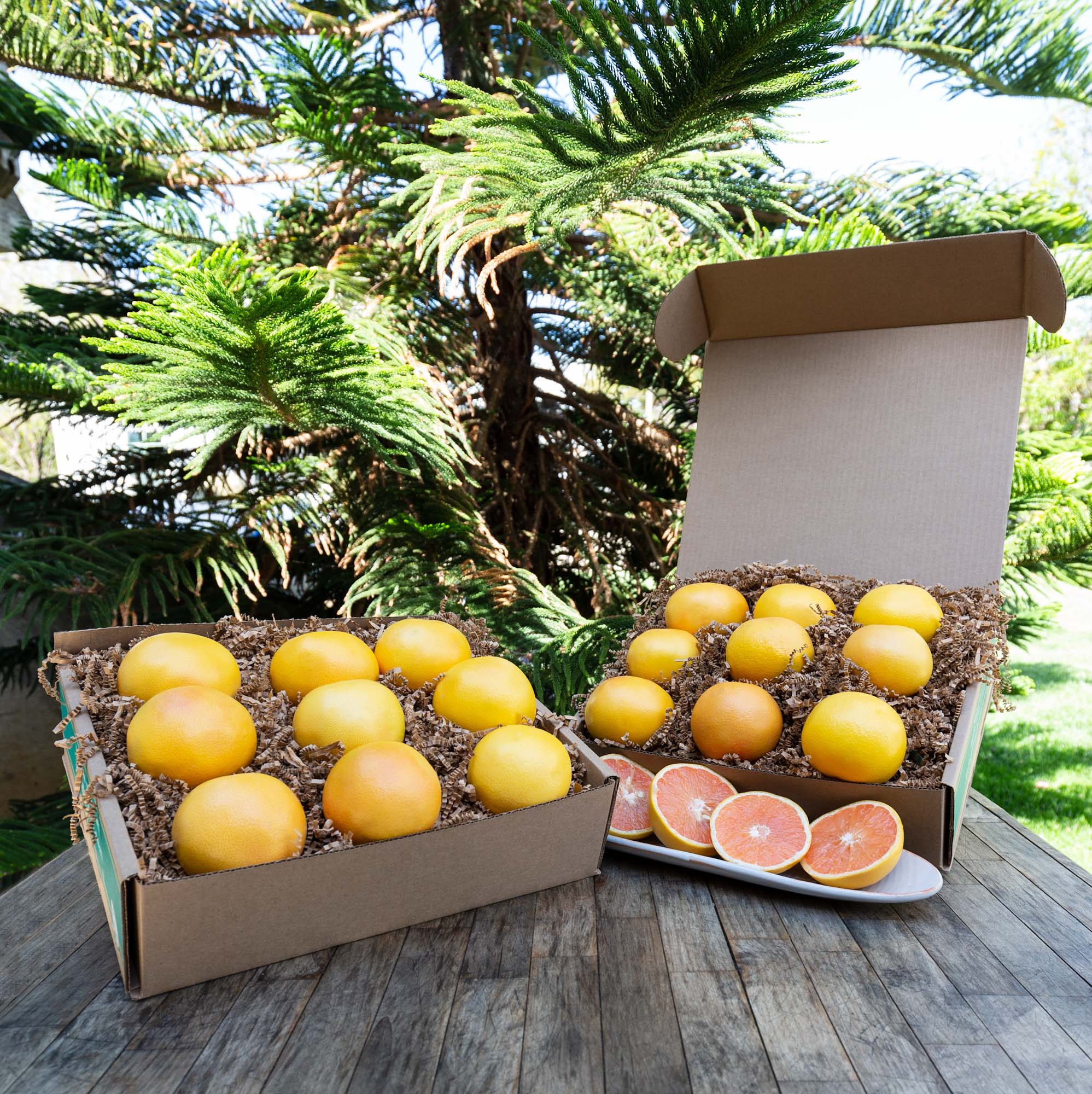 Fresh Organic Ruby Red Grapefruits - Sweet & Juicy Florida Citrus Fruit for Breakfast, Juicing & Healthy Snacks