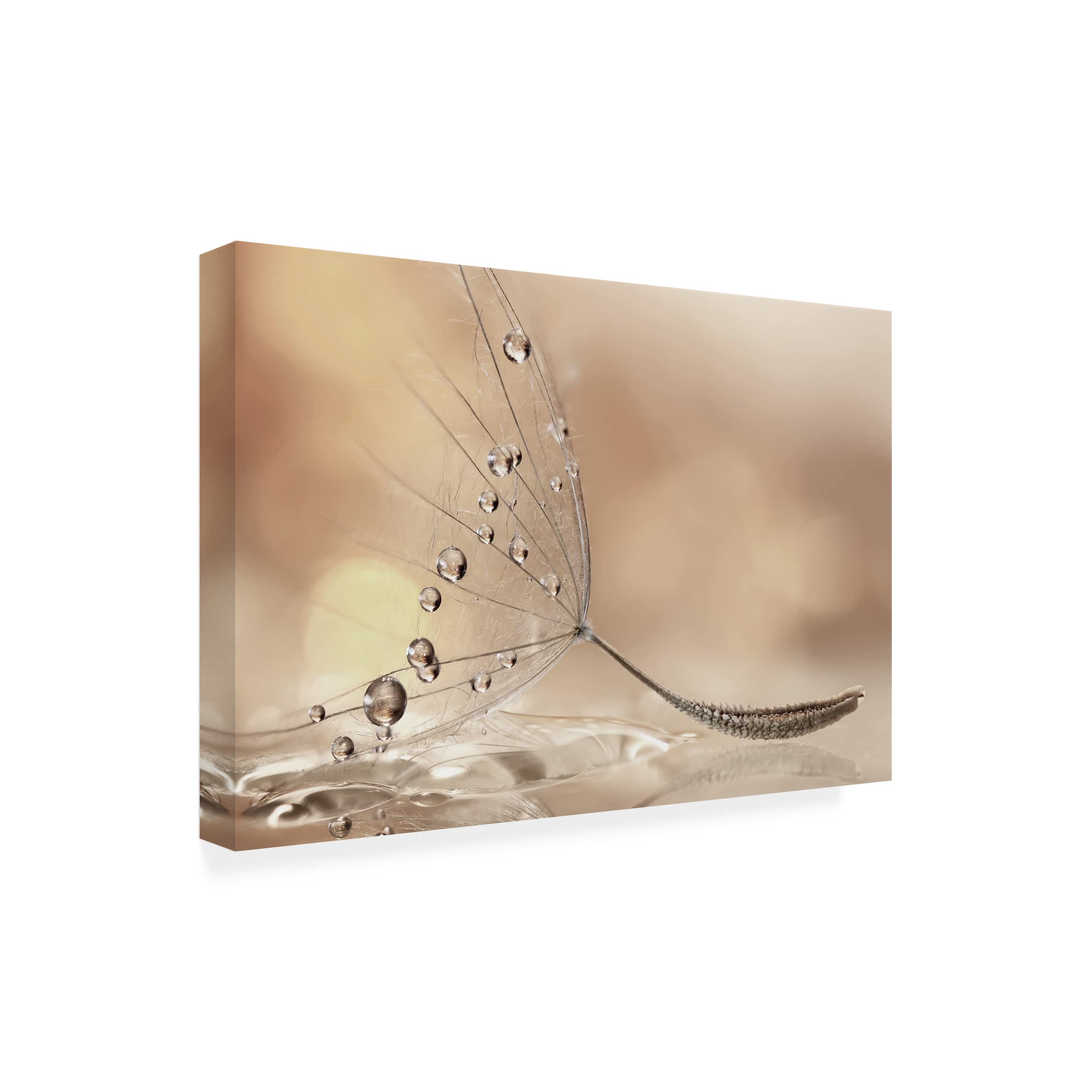 Prestige Canvas Wall Art by Rina Barbieri - Handmade Landscape Painting for Living Room, Bedroom & Office Decor | Trademark Fine Art Collection