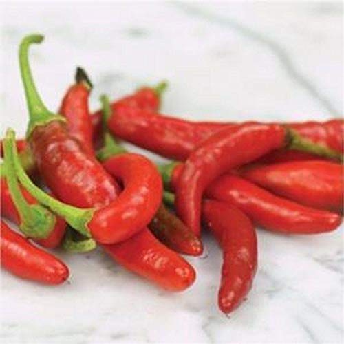 Organic Rooster Spur Hot Pepper Seeds - 100 Count for Home Garden, Containers & Patio Planting | Spicy Heirloom Variety for Cooking, Salsas & Hot Sauces | Fast-Growing & High-Yield Chili Plant Seeds