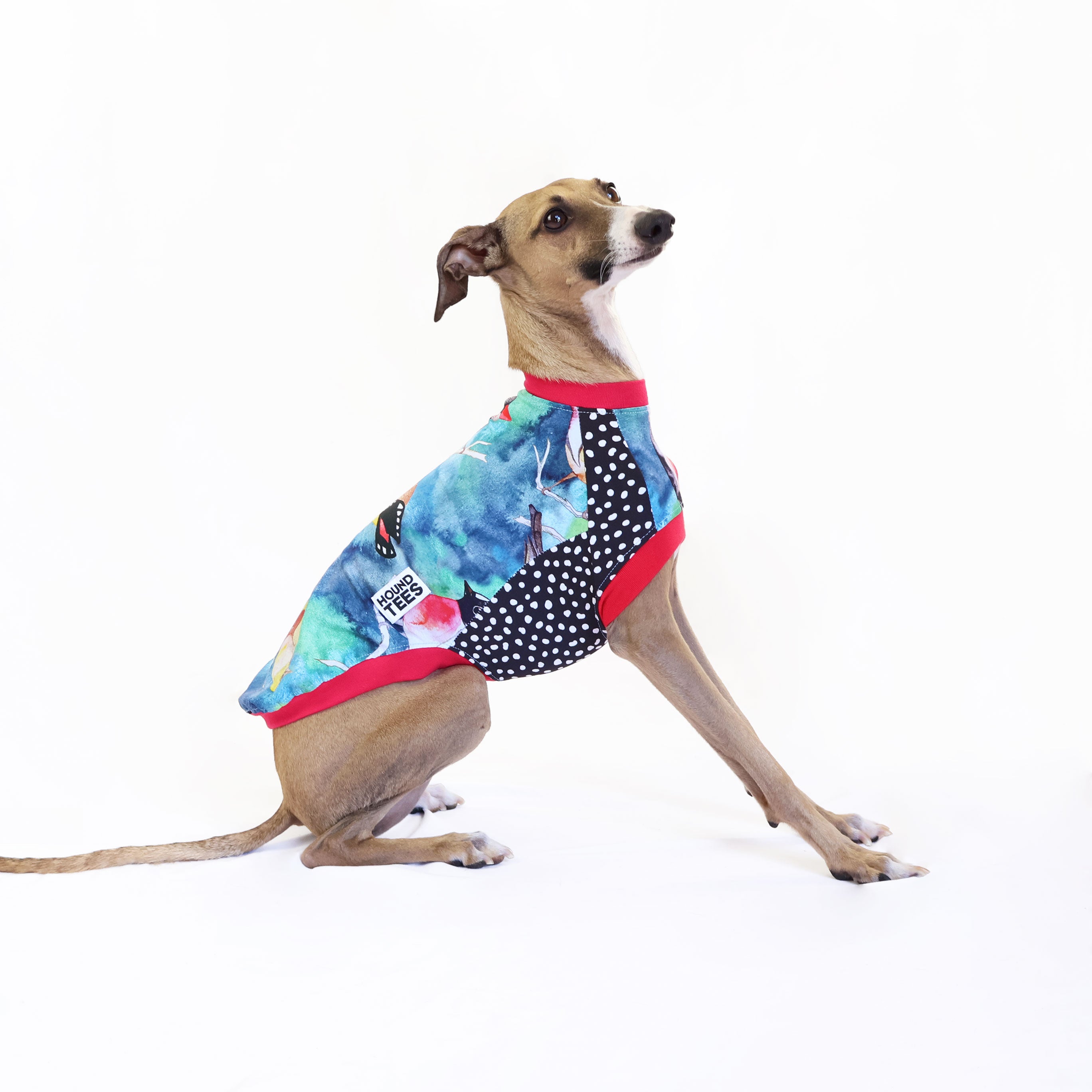 Italian Greyhound Dog T-Shirt - Birbs Sleeveless Hound Tee for Pet Lovers - Perfect for Casual Wear, Dog Walks & Pet-Themed Events