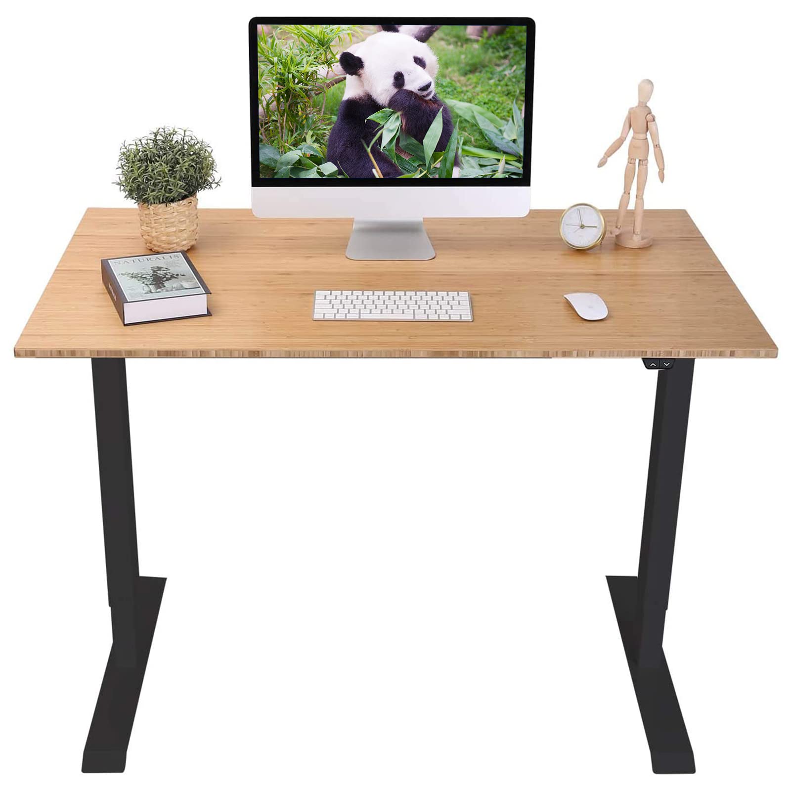 Flexispot Essential Electric Height Adjustable Standing Desk - 48 x 24 Inches Solid Bamboo Desktop, Ergonomic Home Office Workstation (EC1 Classic Black Frame) - Perfect for Remote Work, Gaming & Study Setup