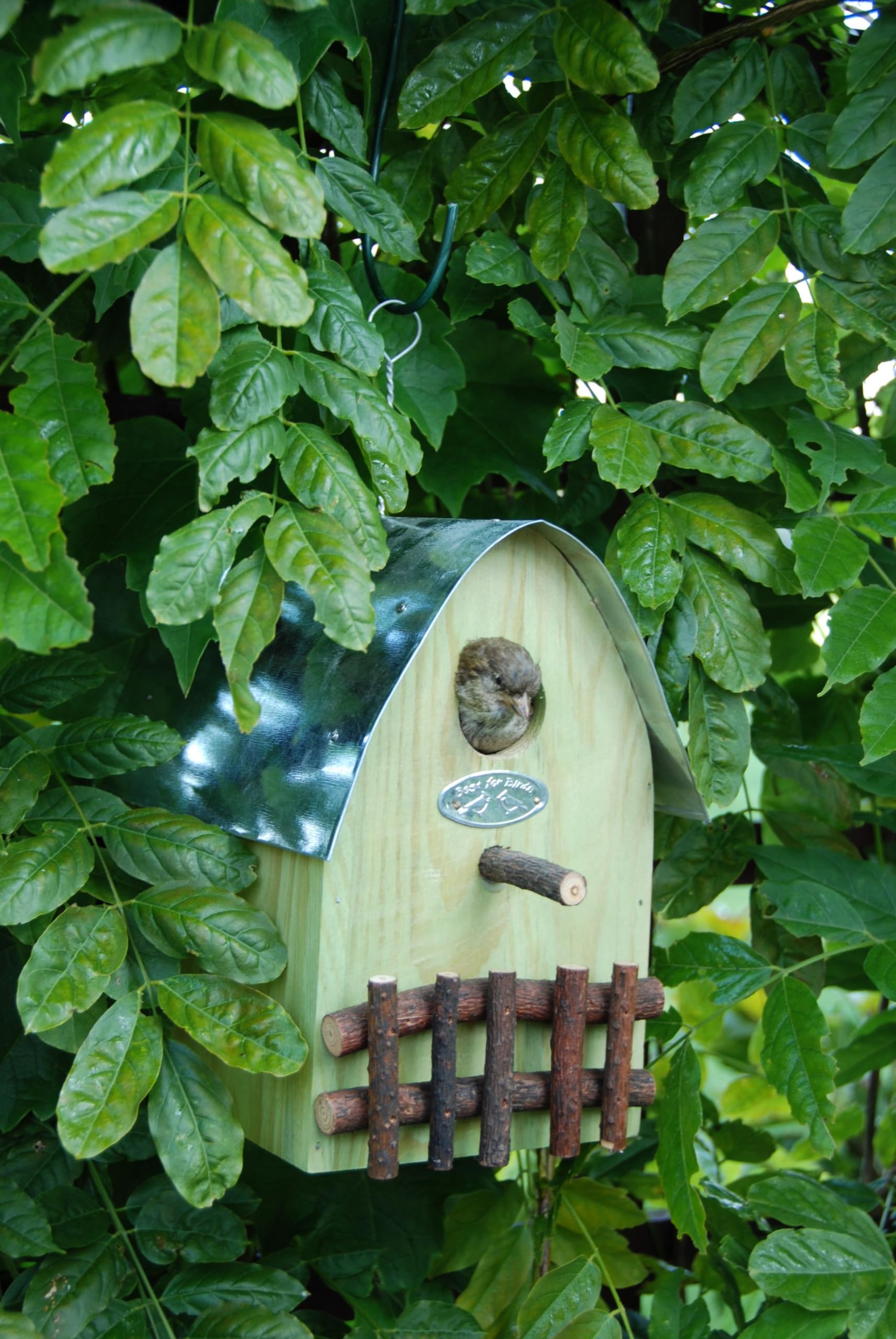 Esschert Design NKH Nest Box House - Premium Wooden Bird House for Garden, Backyard & Outdoor Use - Attracts Wild Birds for Nesting & Shelter
