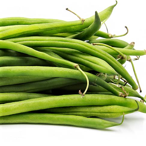 Organic Blue Lake Heirloom Green Bean Seeds - Non-GMO, Delicious & Nutritious - 100 Count for Home Gardening, Vegetable Patches & Sustainable Farming