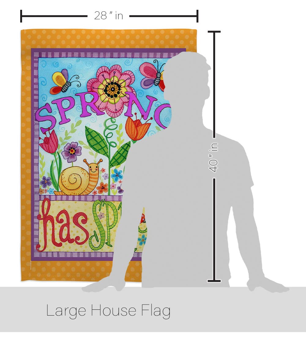 Spring Floral Bugs House Flag Set 28x40 with Pole - Outdoor Garden Decor